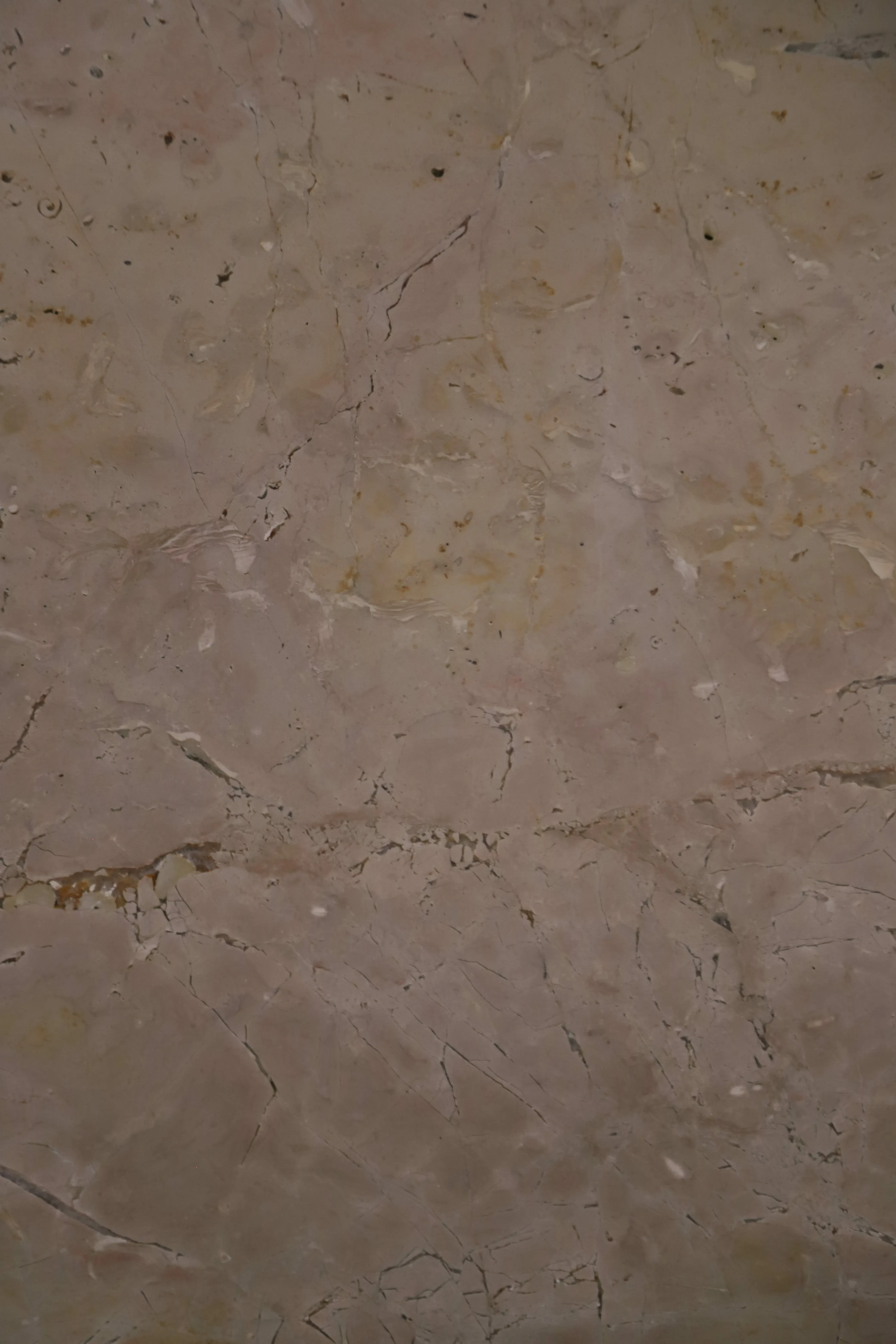 Natural Veined Jerusalem Beige Stone