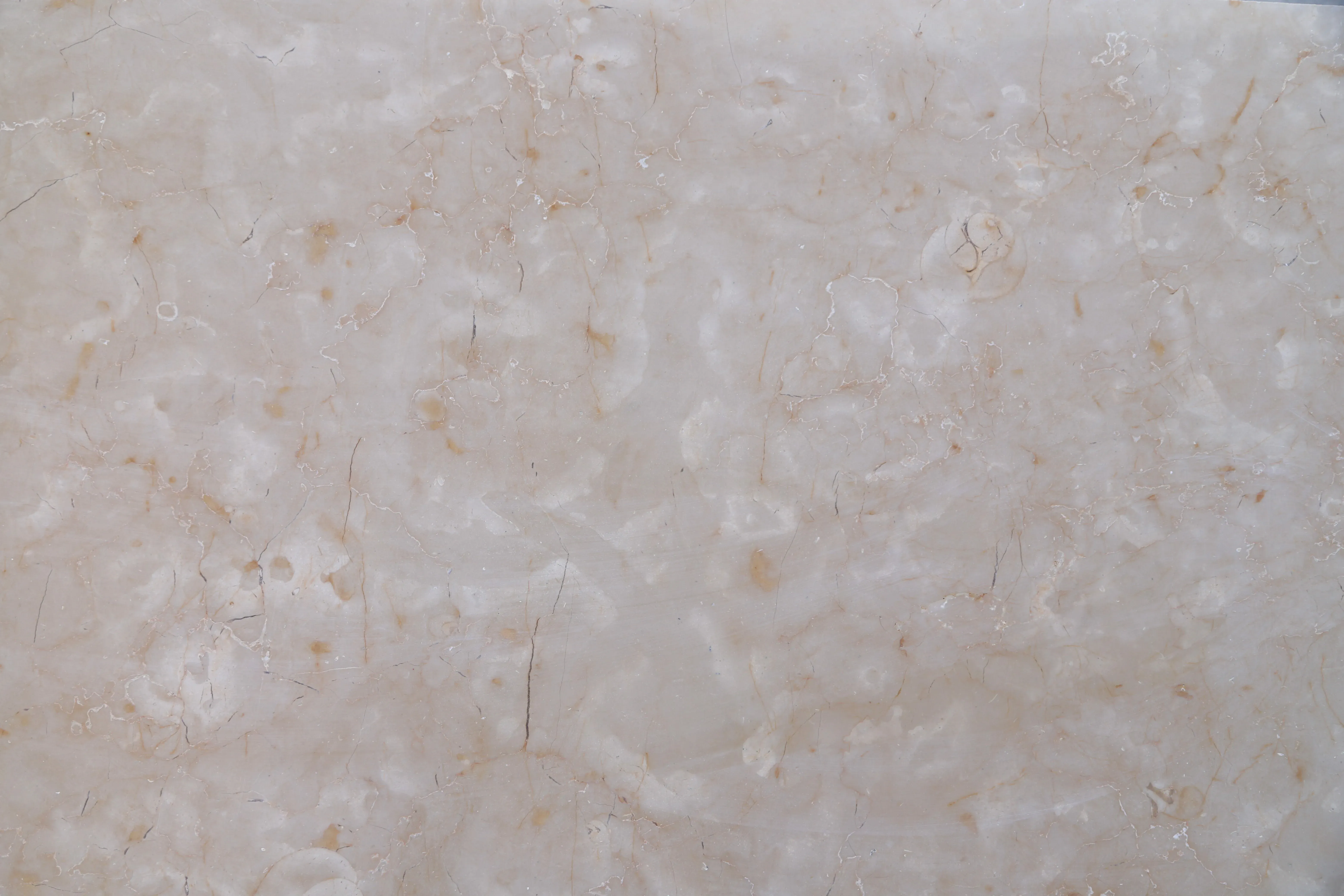 Polished Jerusalem Cream Stone